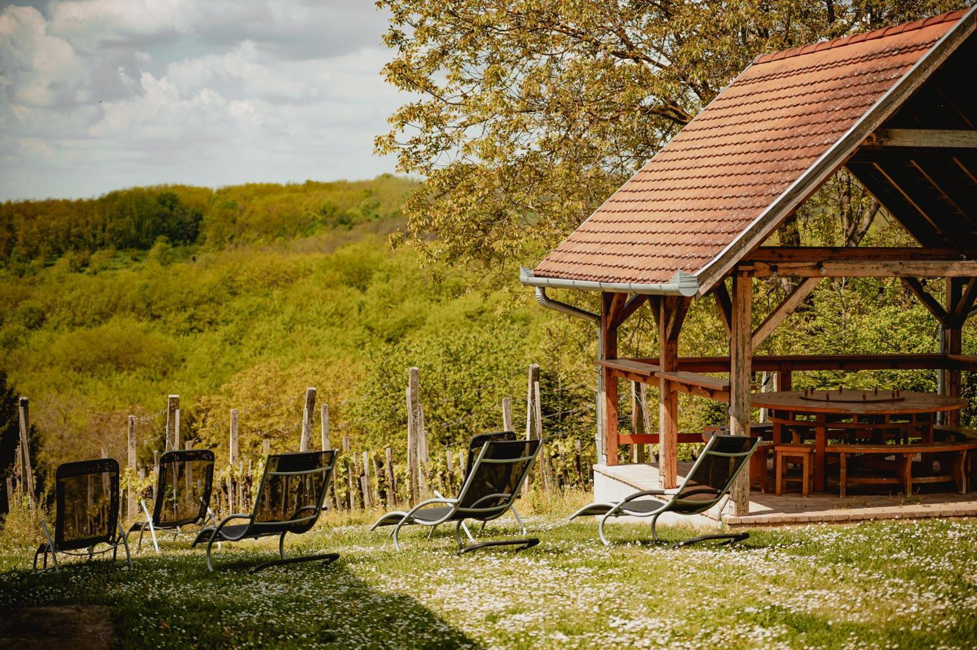 Foerhenc Wine House & Guesthouses I-Ii-Iii Nagykanizsa Zewnętrze zdjęcie